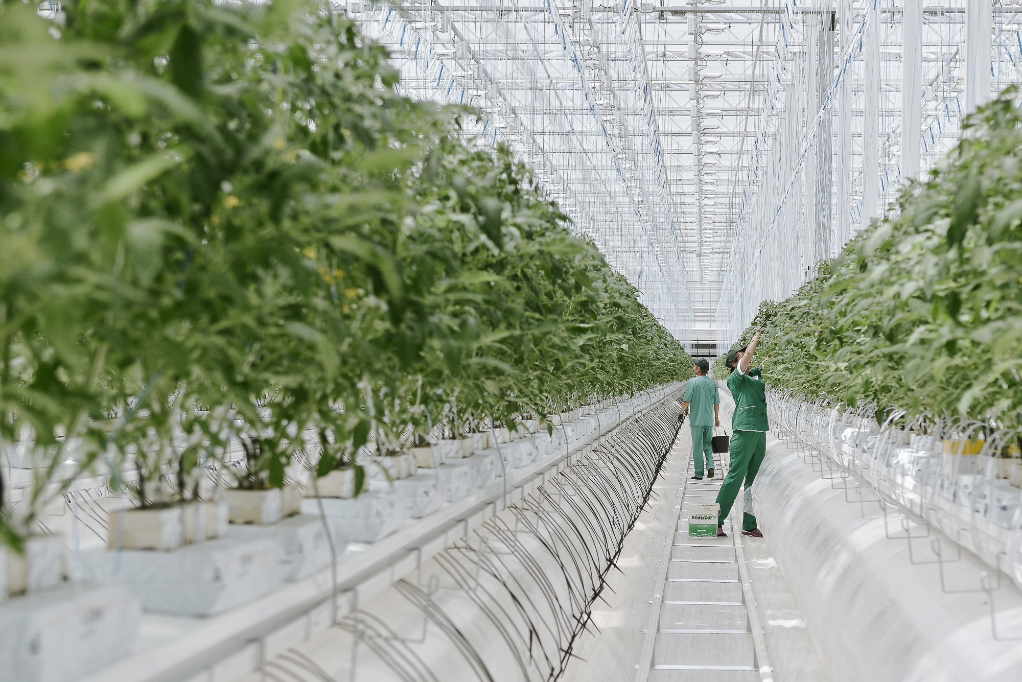 Аграриев простимулируют жильём