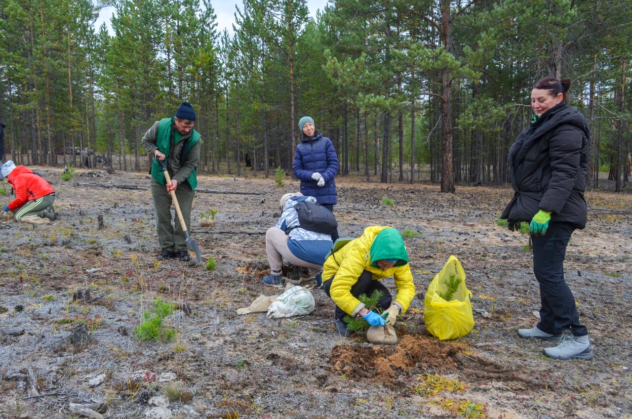«Аллею добра» посадят в Воронежской области