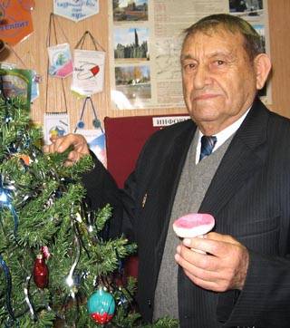 Проведение Новогодней Елки Проведение Новогодней Елки