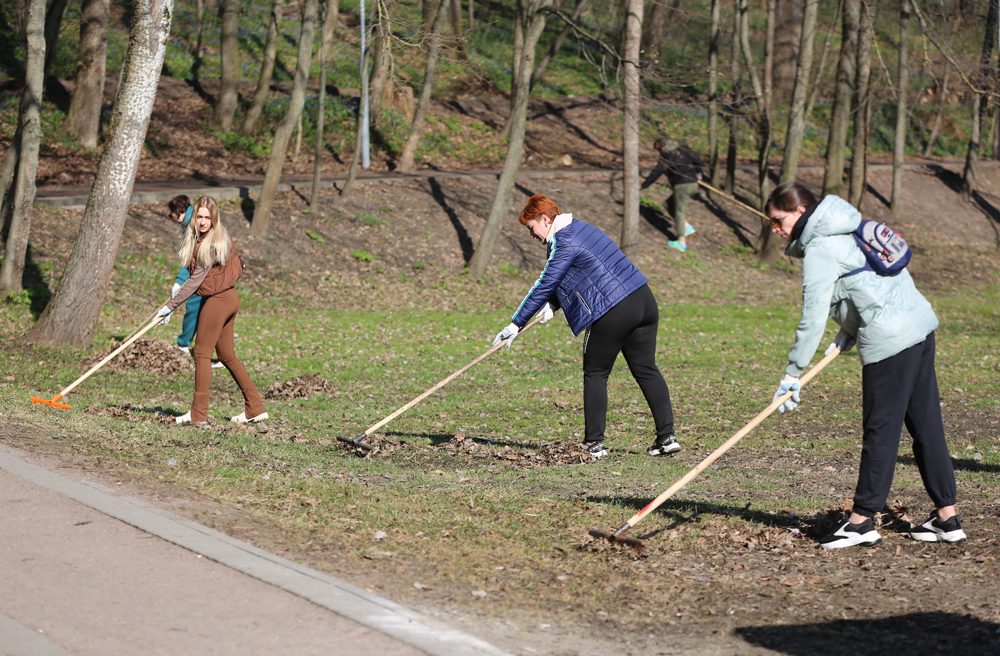 Общегородской субботник пройдёт в Воронеже 25 апреля
