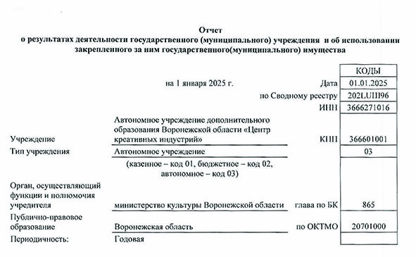 Отчёт о результатах деятельности АУ ДО ВО «Центр креативных индустрий» за 2024 год
