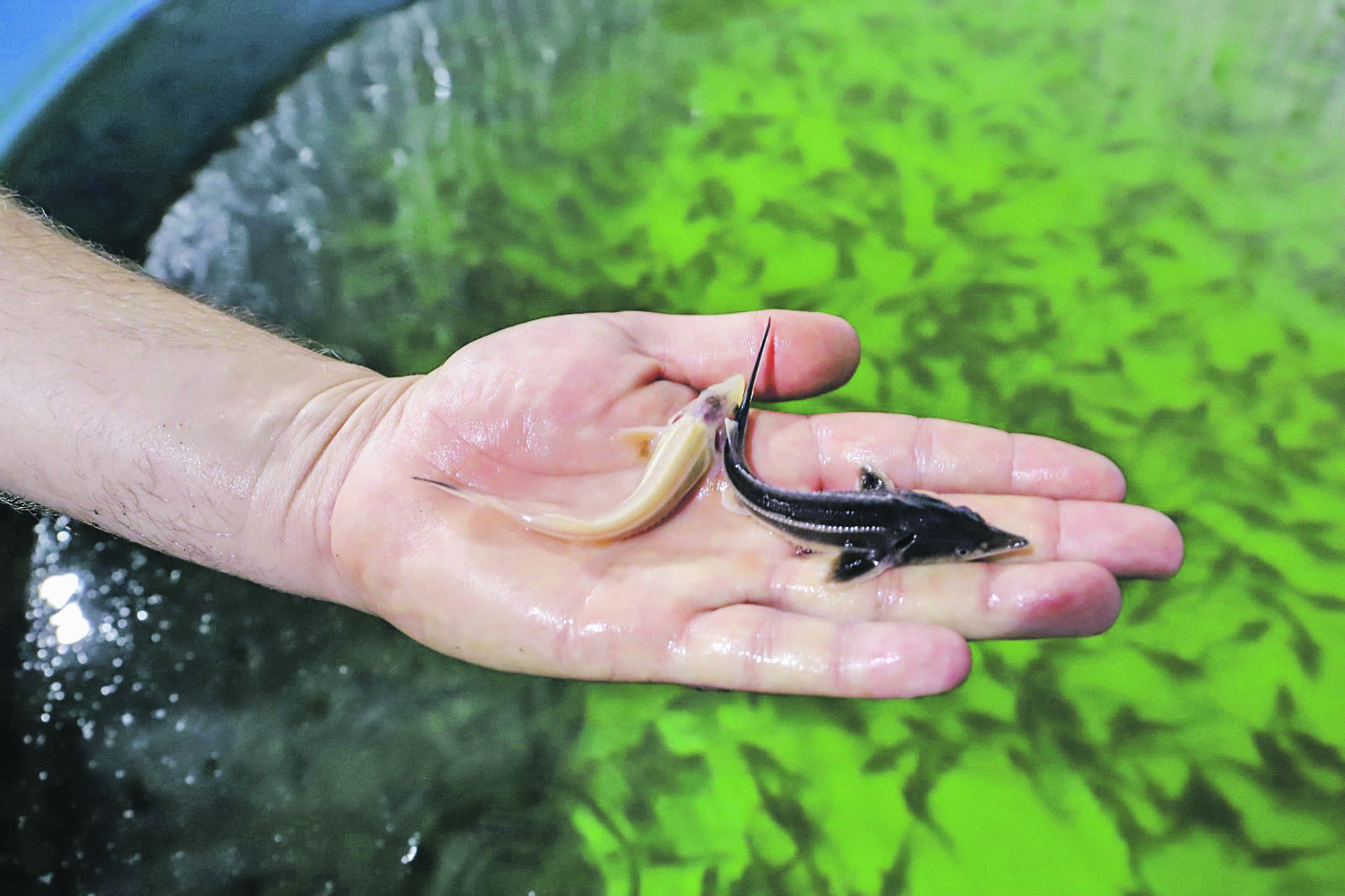 О незаконных строениях на берегах воронежских рек рассказала министр экологии региона 