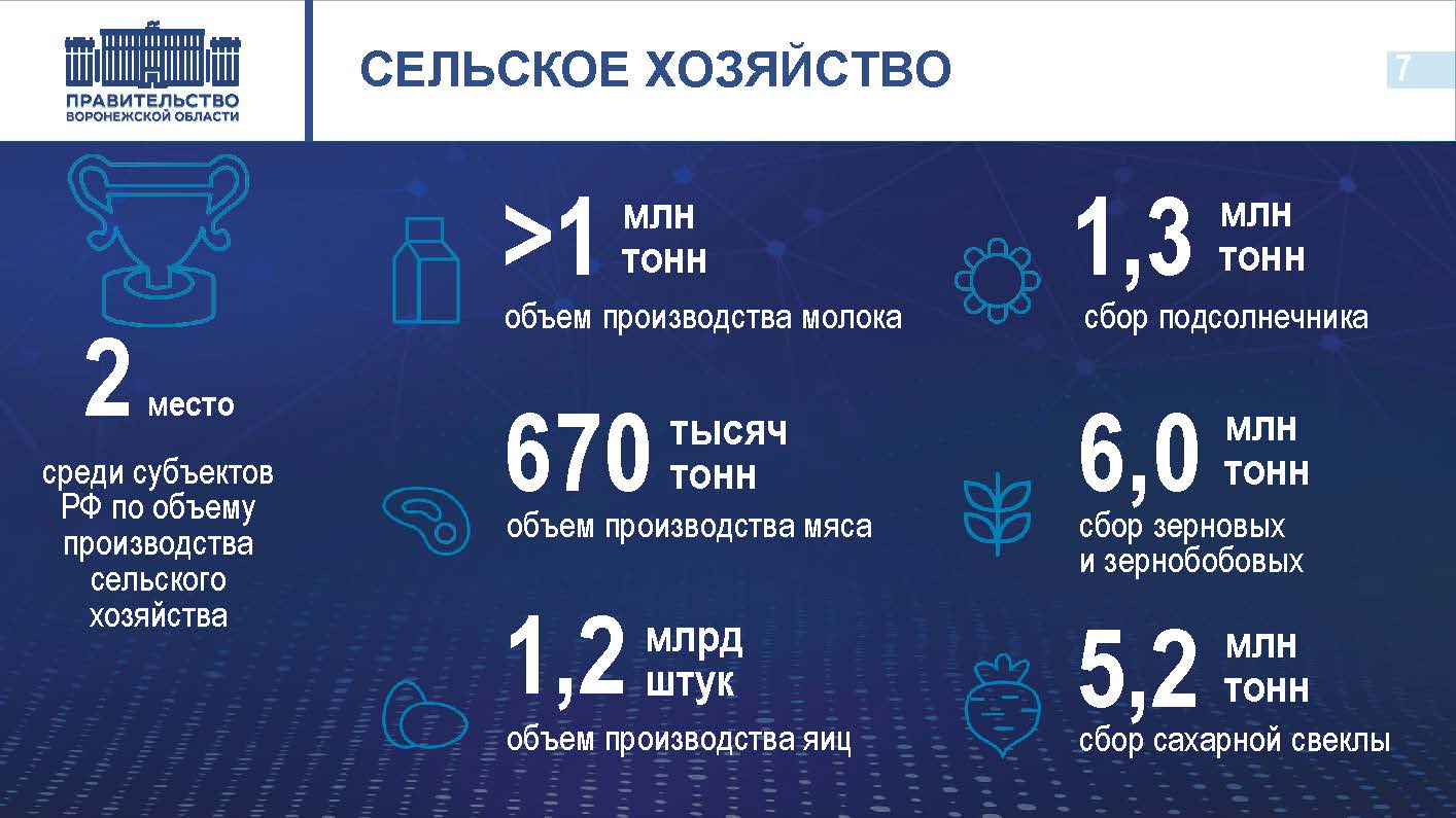 Сельское хозяйство.jpg