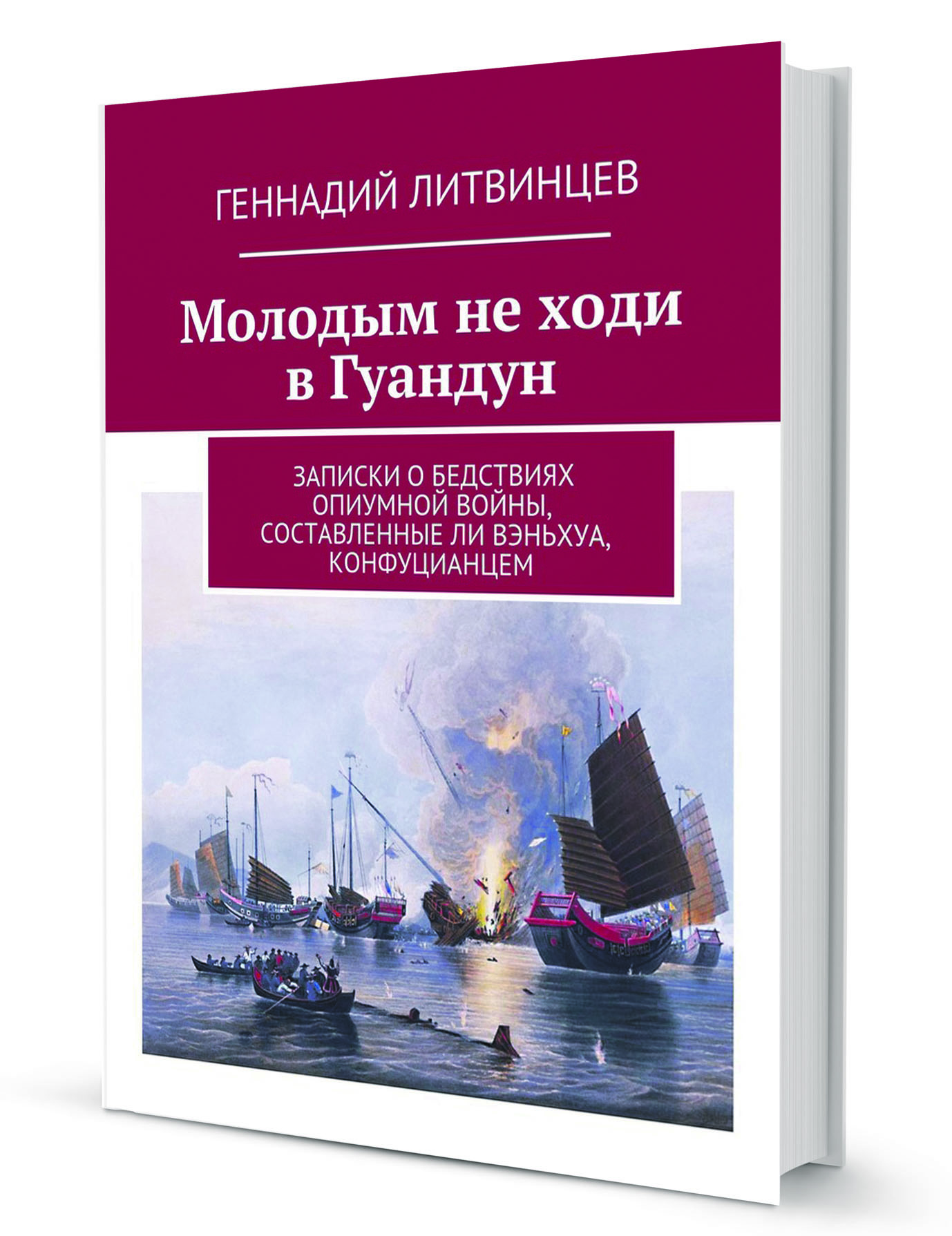 Обложка книги Литвинцев.jpg