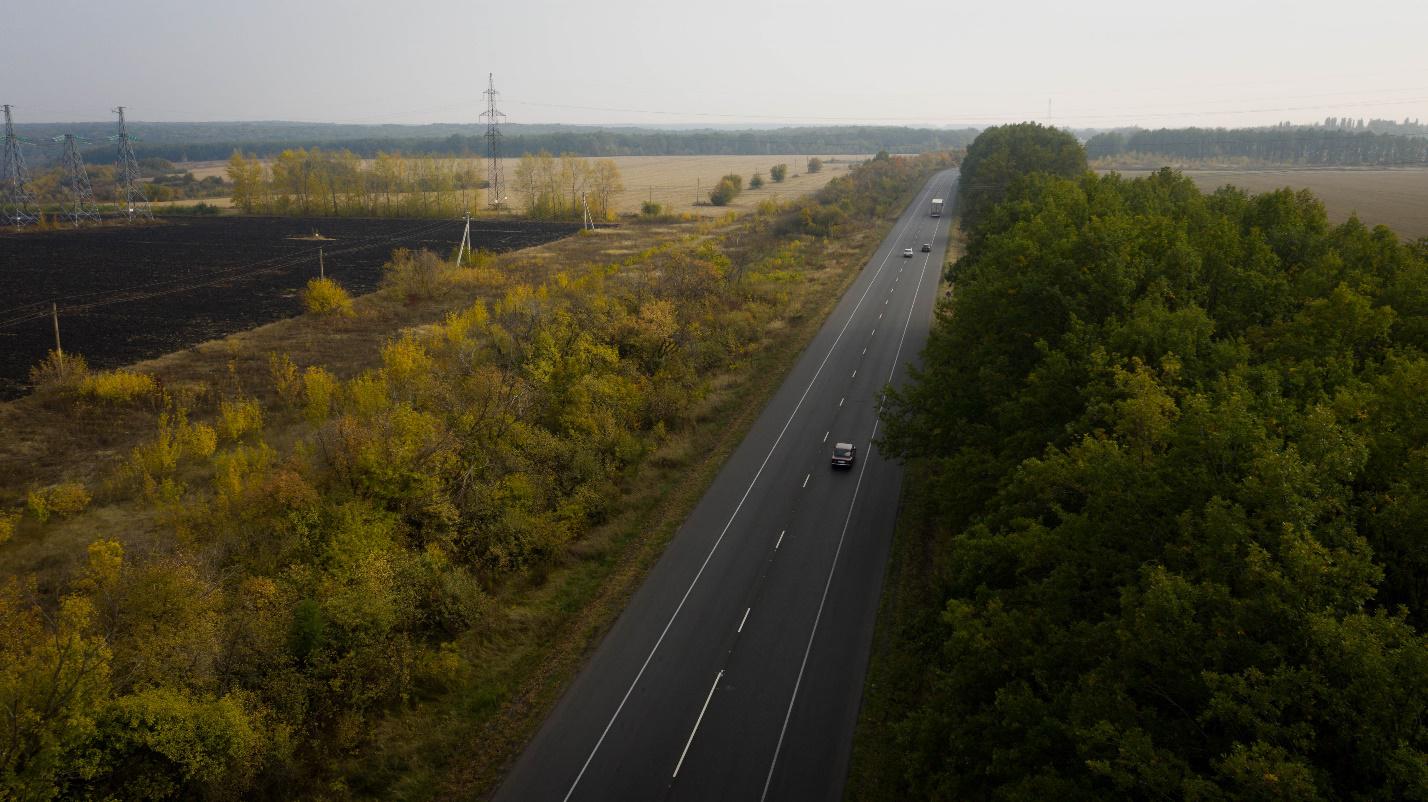 дорога и лес.jpg