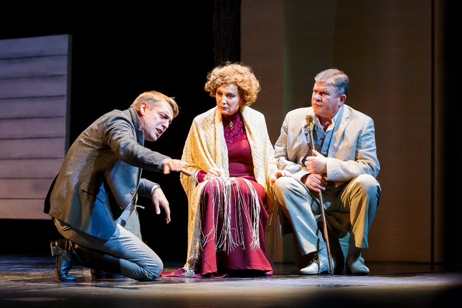 Вишневый сад.jpg