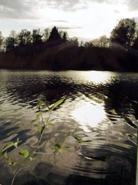 Первая премия в номинации «Пейзаж» (старшая возрастная группа). 