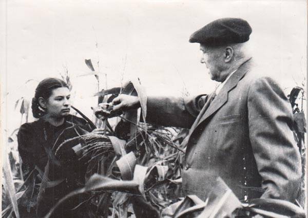 Козо-Плянский