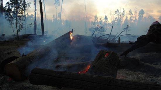 пожар в заповеднике