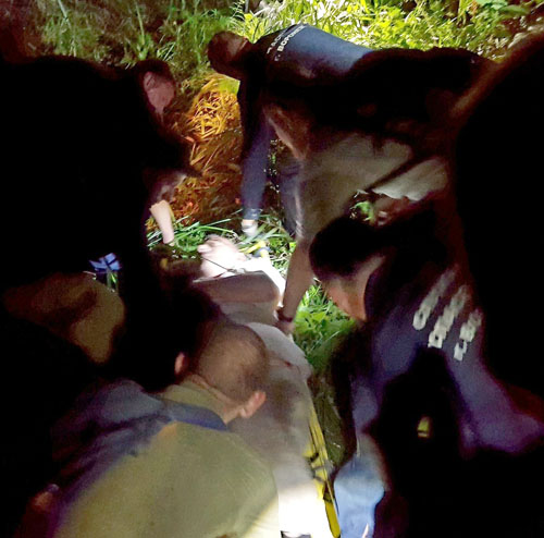 поиск пациента