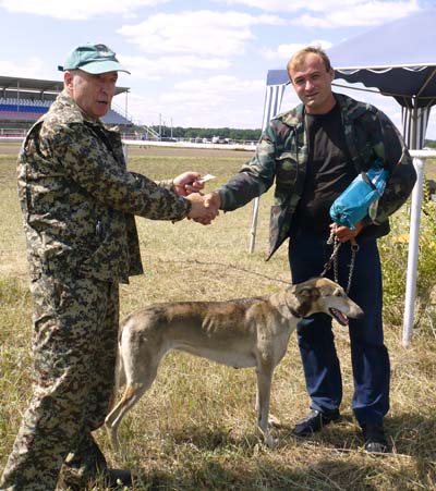 выставка собак