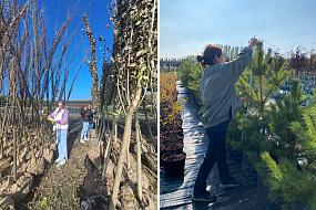 500 деревьев и 700&hellip;