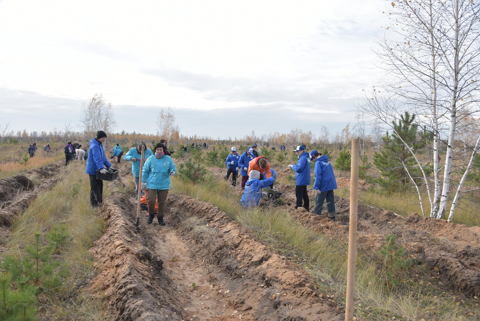 В Воронежской области проходит акция «Сохраним лес»
