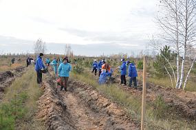 В Воронежской области&hellip;
