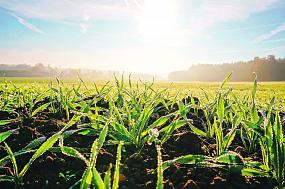 Как в Воронежской области&hellip;