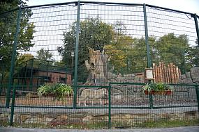 Пять волков заселили в&hellip;