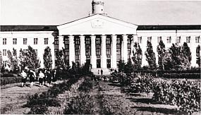 Очарованный лесом 