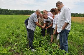 Органическая интеграция