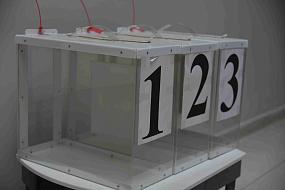 Избиратели Воронежской области смогут проголосовать досрочно 