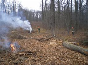 Воронежцам объяснили&hellip;