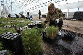 В Воронежской области&hellip;