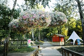 Мастер-классы флористов и&hellip;