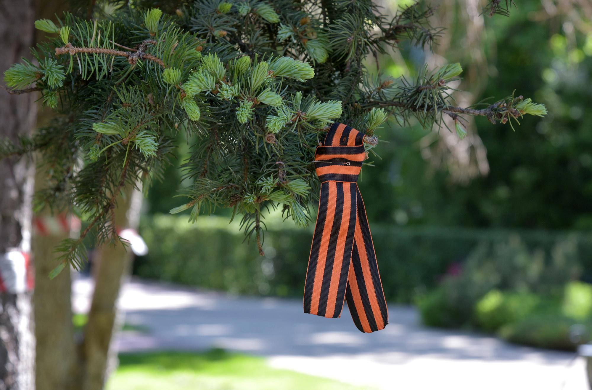 Улица 80-летия Победы появится в Железнодорожном районе Воронежа 