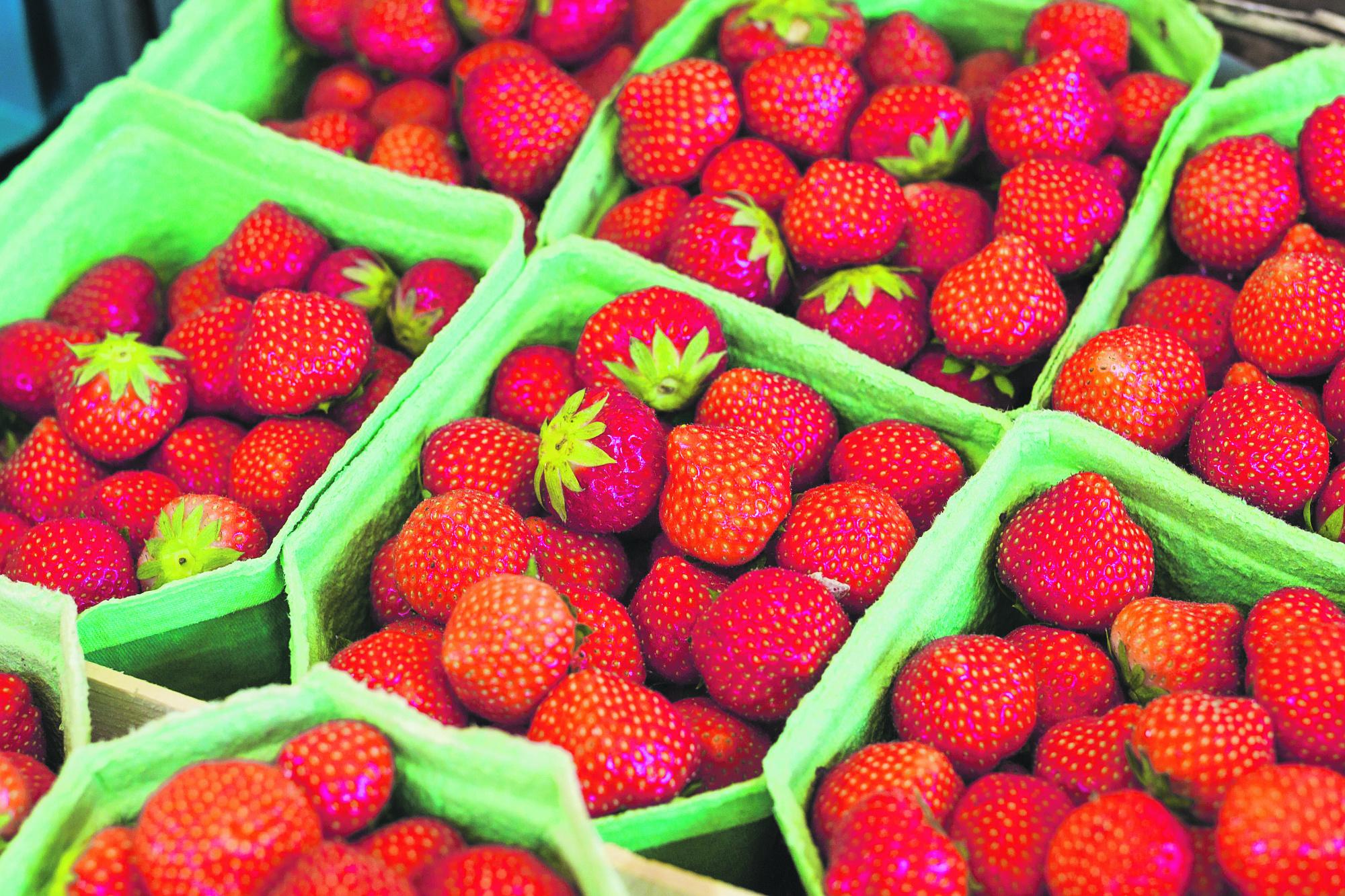 Ягодная мозаика