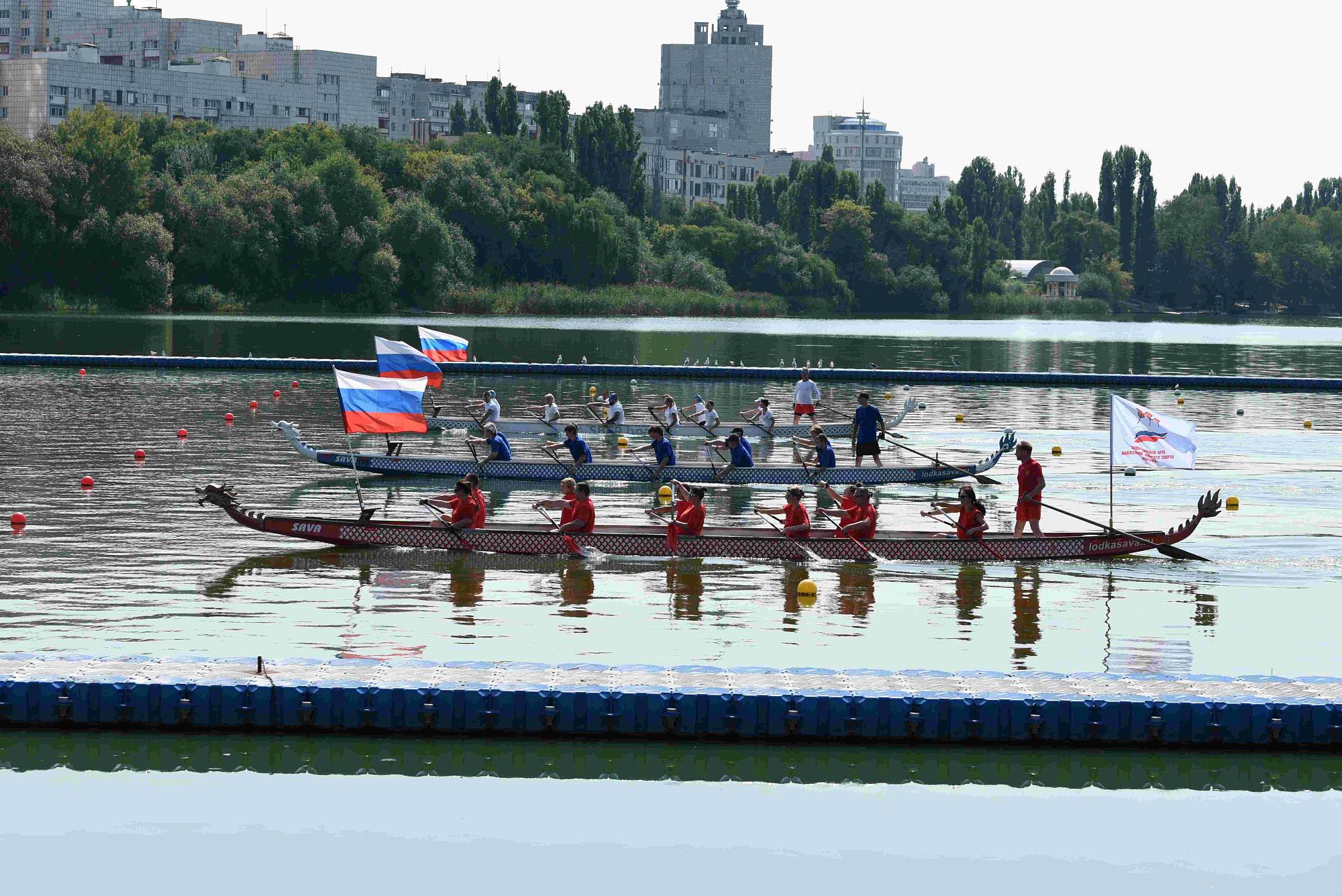 Воронежцы отметили День Государственного флага РФ